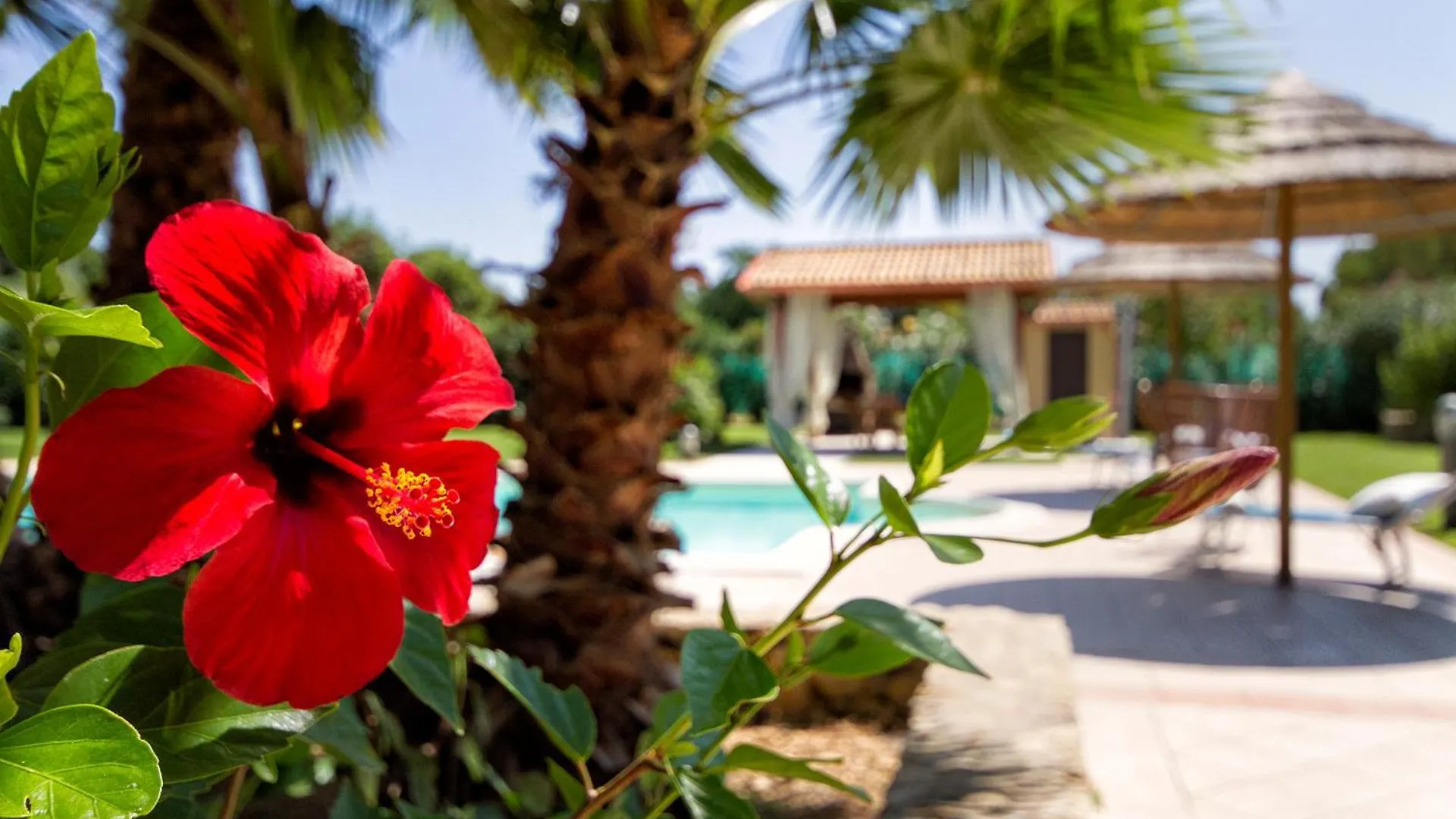 Alghero Villa Morena With Exclusive Swimming Pool And Large Garden Italien